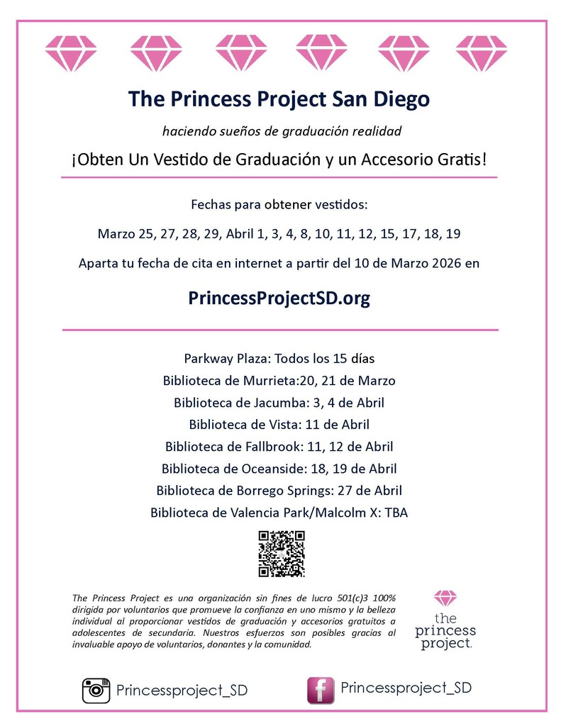 Princess Project Flyer in Spanish
