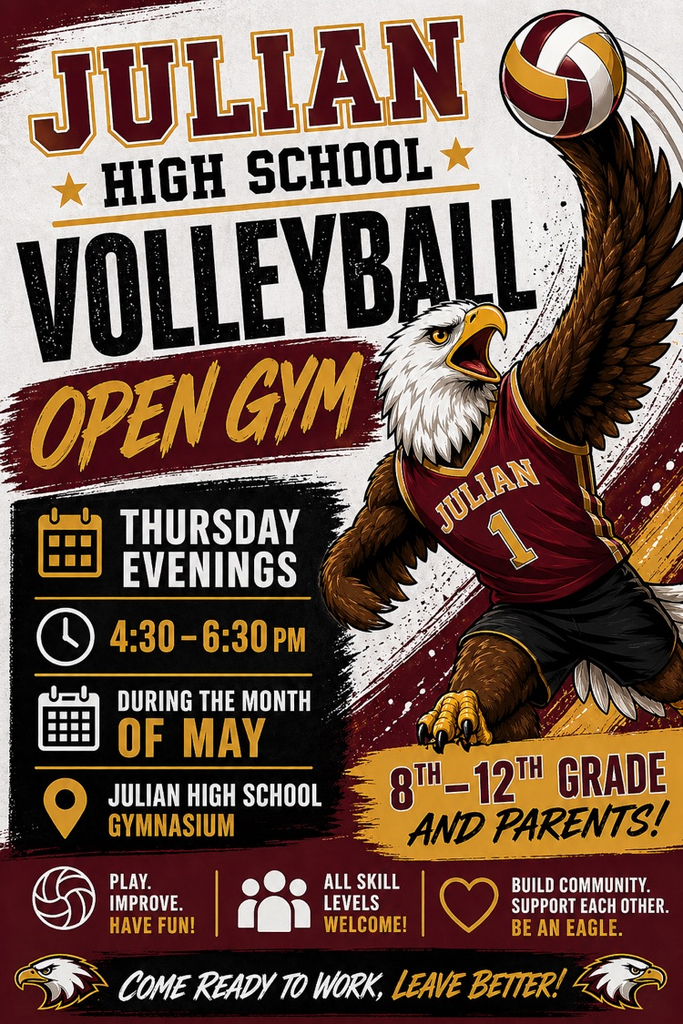 Volleyball Open Gym