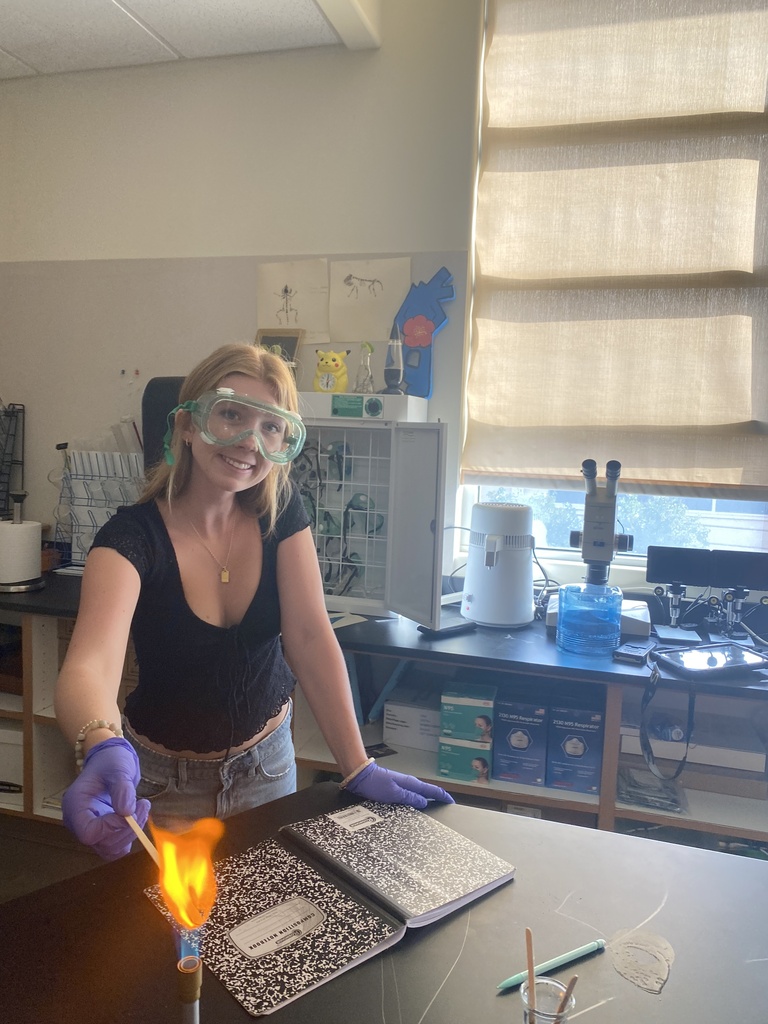 Female chemistry student holds a wooden stick in the flame of a bunsen burner.