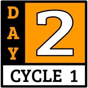 Day 2