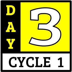 Day 3