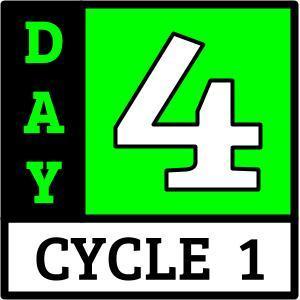 Day 4