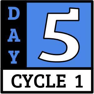 Day 5