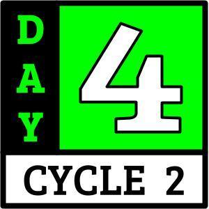 Day 4