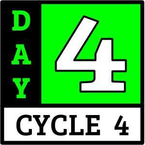 Day 4