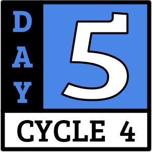 Day 5
