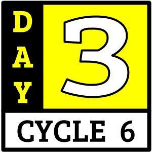 Day 3