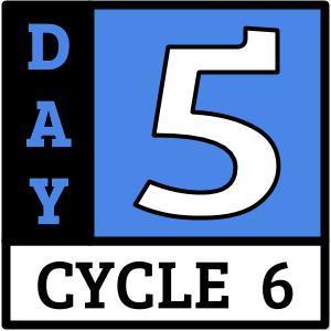 Day 5
