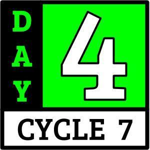 Day 4