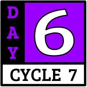 Day 6