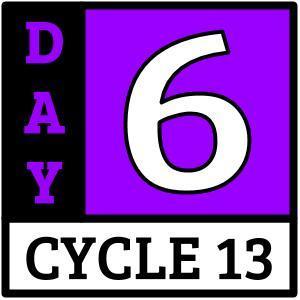 Day 6