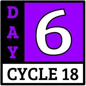 Day 6