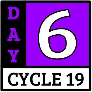 Day 6