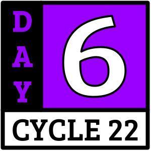 Day 6