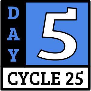Day 5