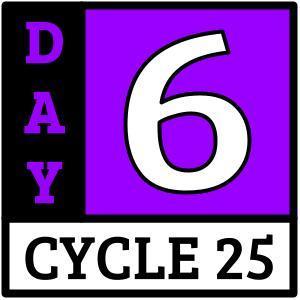 Day 6