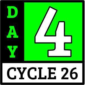 Day 4