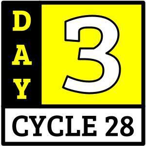 Day 3
