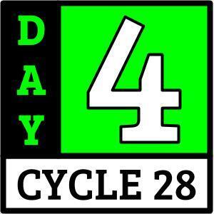 Day 4