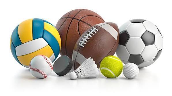 Sports Fee