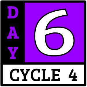 Day 6