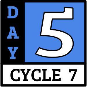 Day 5