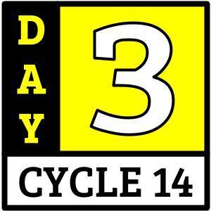 Day 3