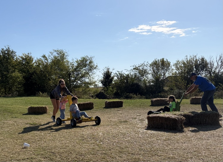 pumpkin patch