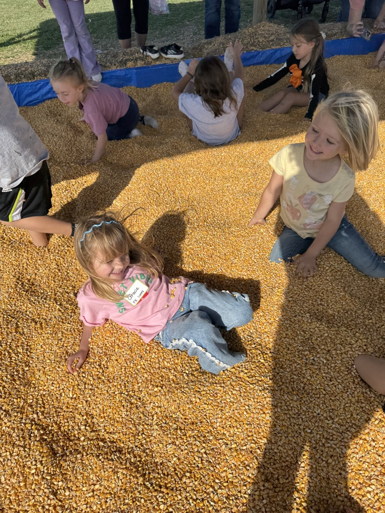 pumpkin patch