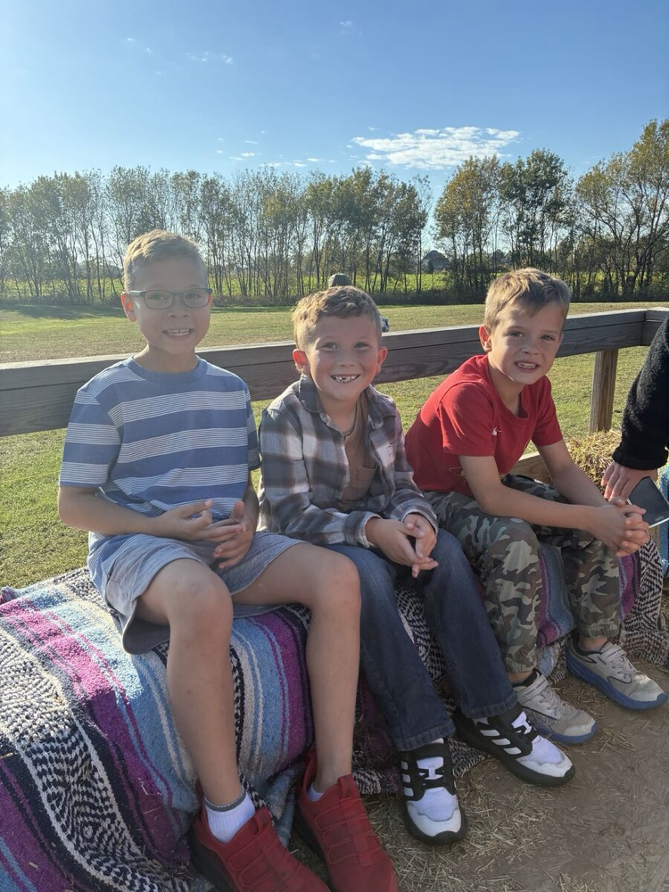 pumpkin patch