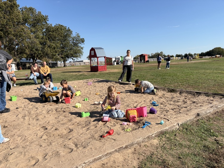 pumpkin patch