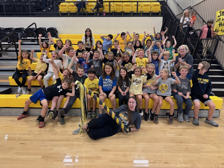 spirit stick