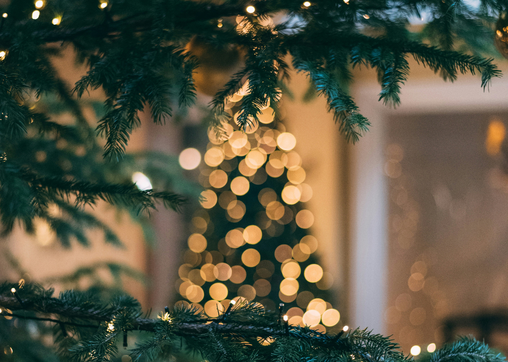 blurry Christmas Tree