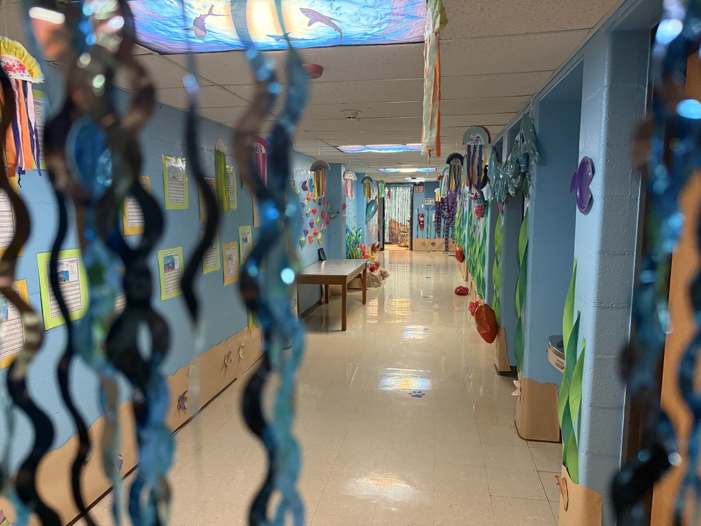weberwood elementary night at the museum first grade under the sea decorations and presentations