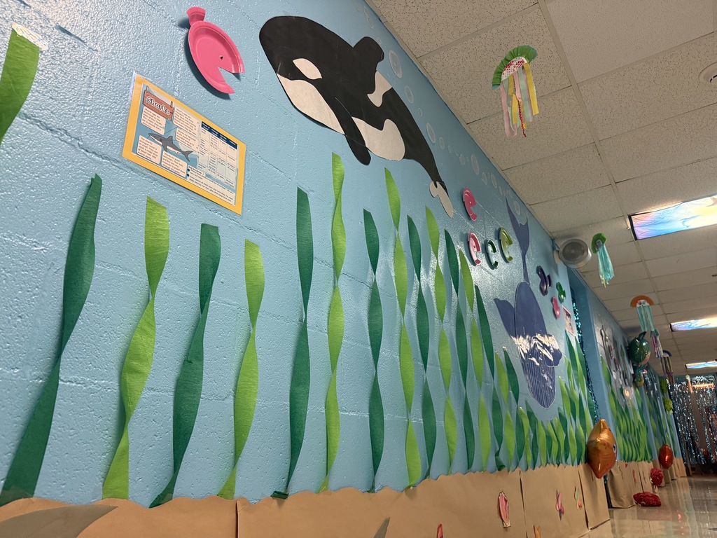 weberwood elementary night at the museum first grade under the sea decorations and presentations