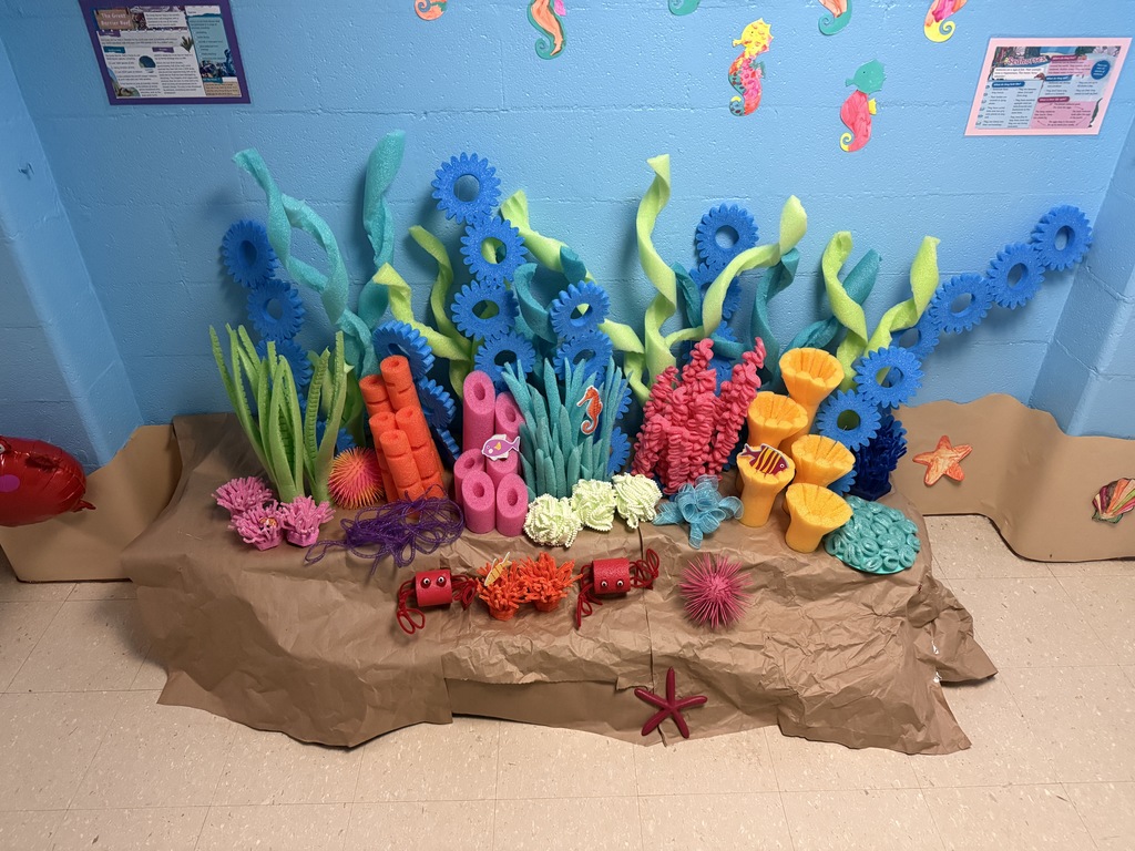 weberwood elementary night at the museum first grade under the sea decorations and presentations
