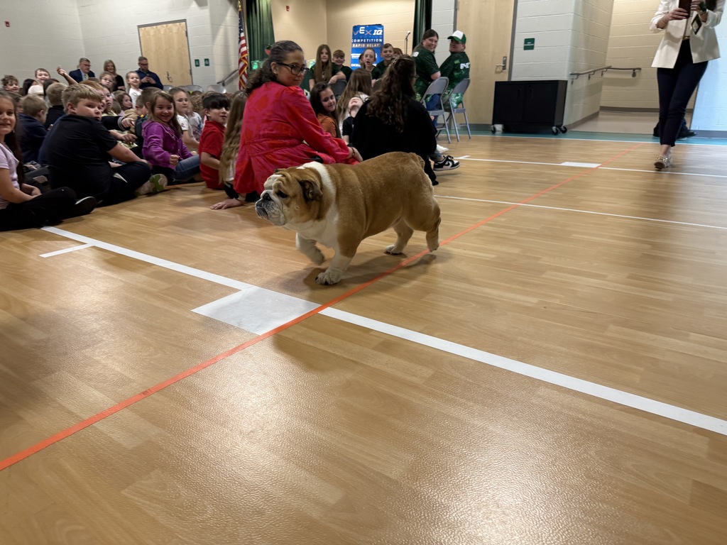 baby dog walking into the school's gym