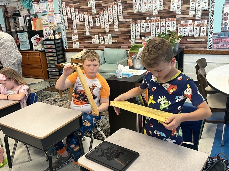 two belle students looking at a honeycomb during the lesson.