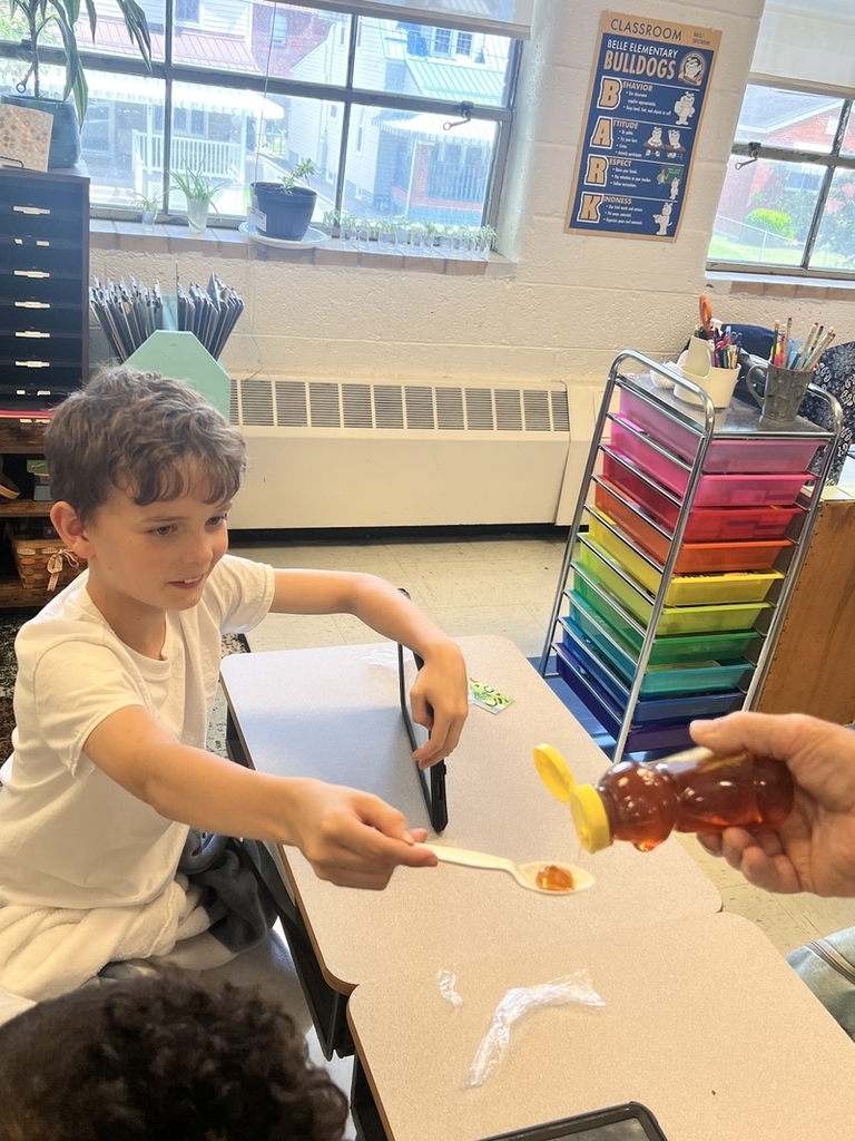 a local beekeeper pouring honey on a spoon for a student to try.