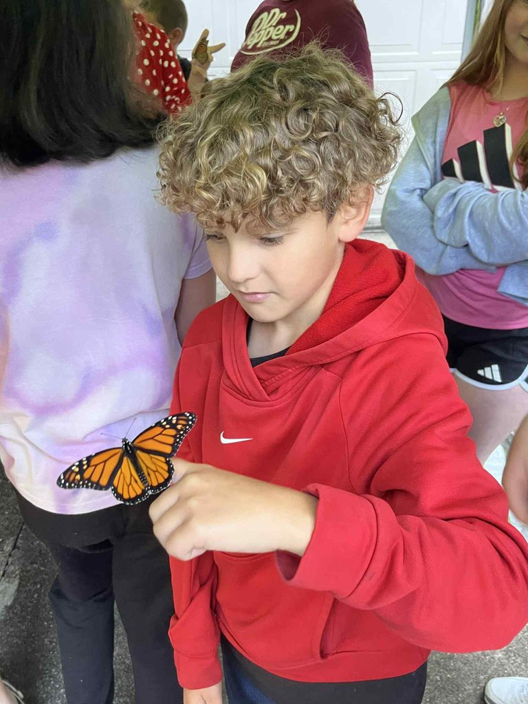 a butterfly lands on a pratt students finger while the student watches.