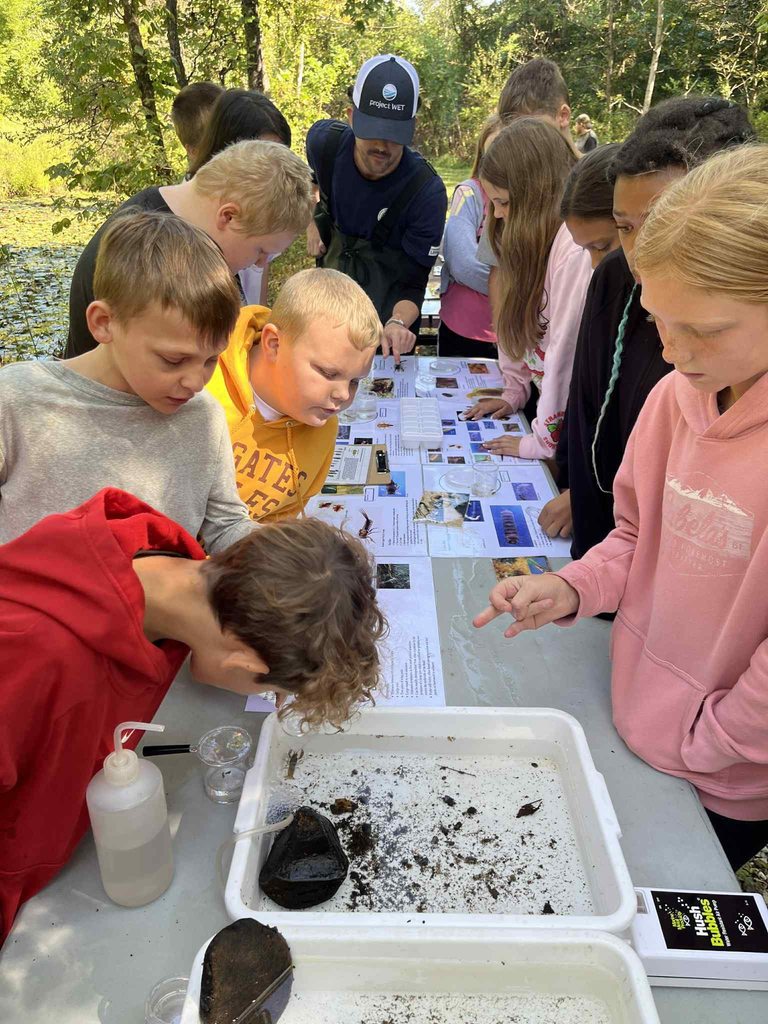 pratt students participating in a lesson about insects that live in local waterways.