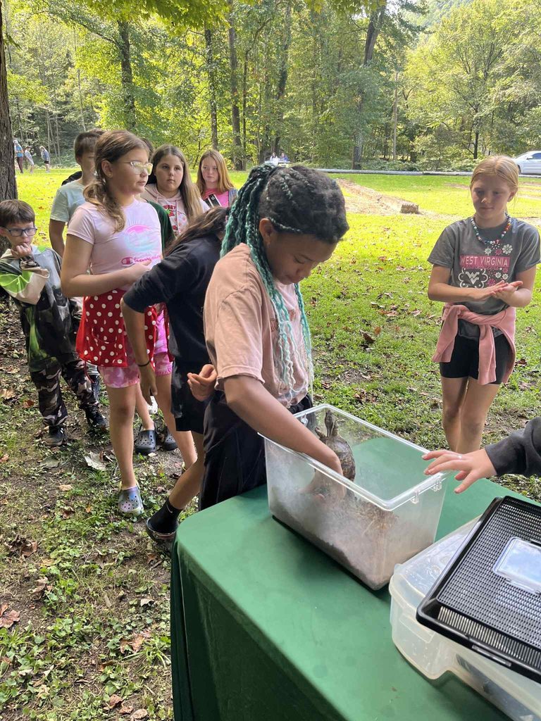a pratt elementary student petting a turtle. 