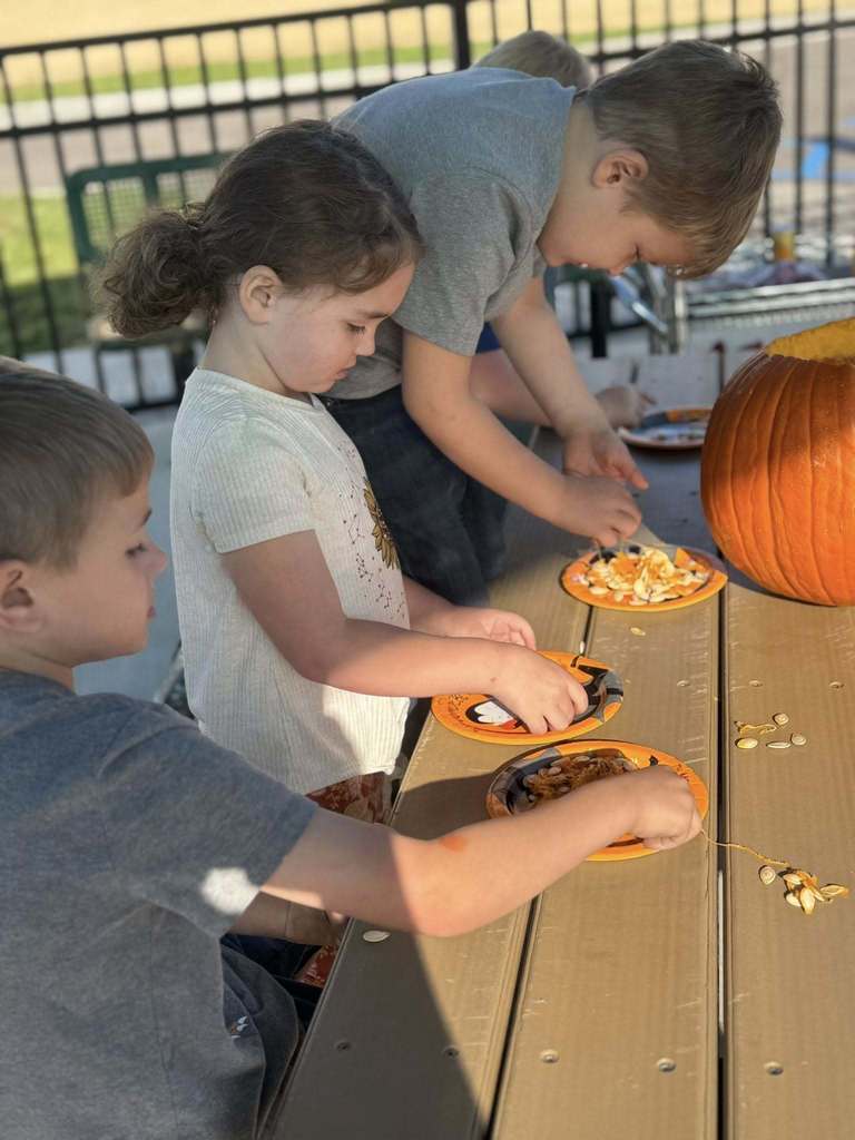 students taking pumpkin seeds out of a pumpkin in their outdoor classroom at cedar grove elementary.