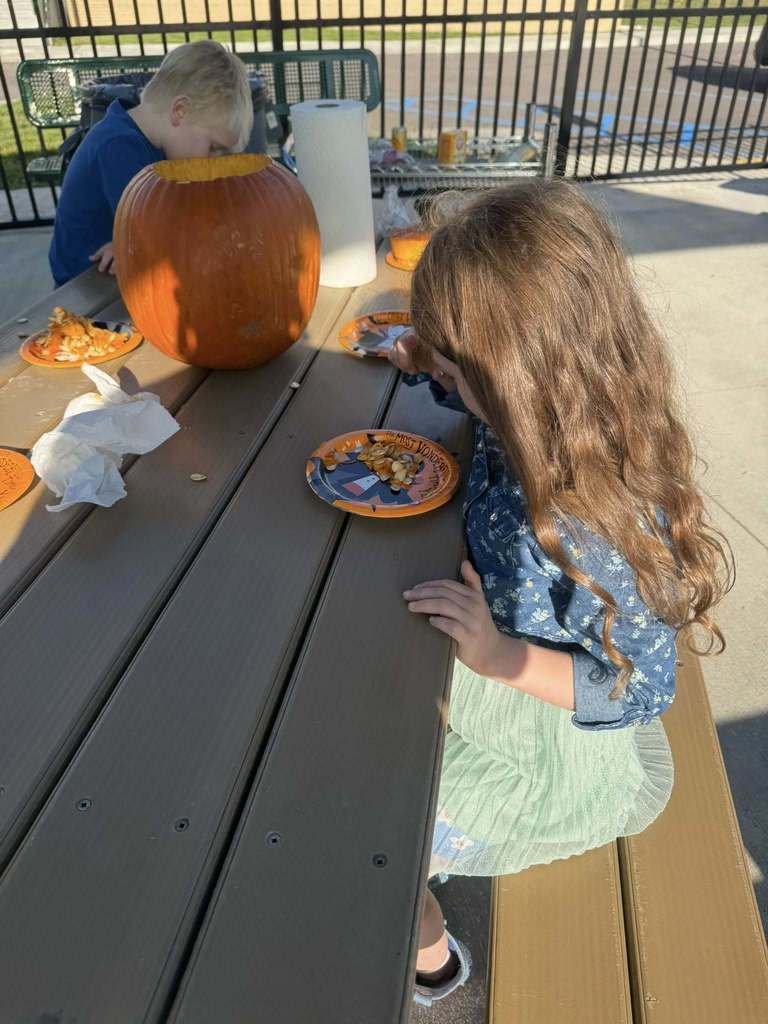 students taking pumpkin seeds out of a pumpkin in their outdoor classroom at cedar grove elementary.