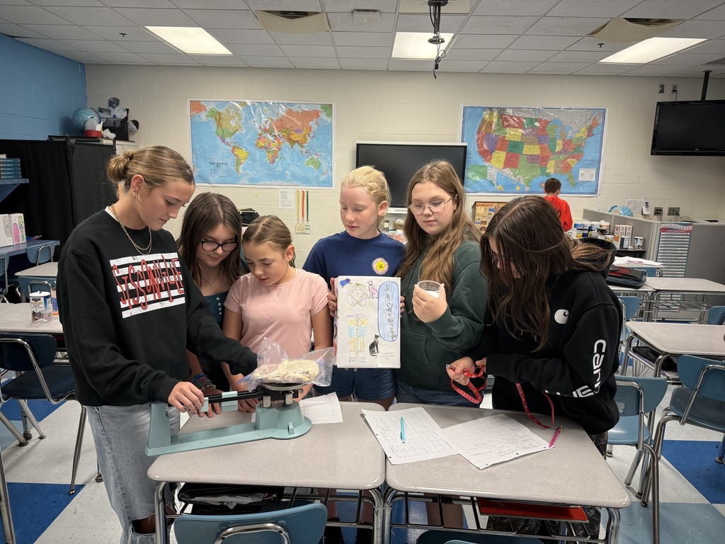 students at sissonville middle school using a scale to weigh a chicken during a steam lab.