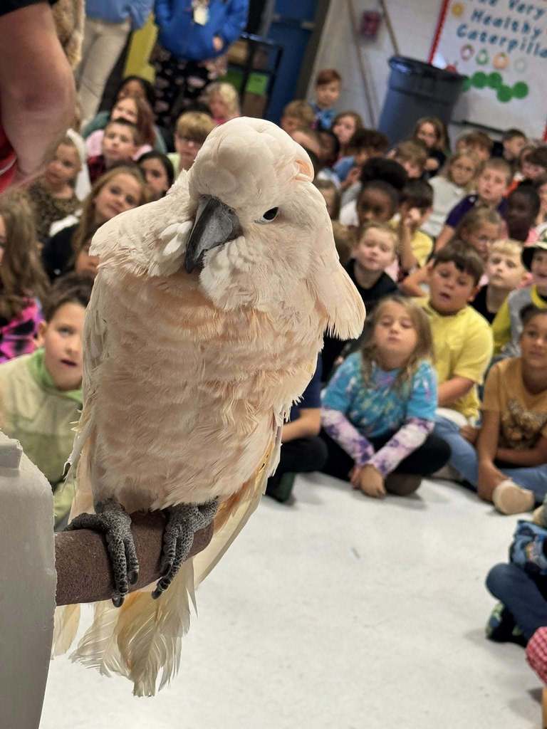 students looking on as an animal trainer holds a bird on her arm.