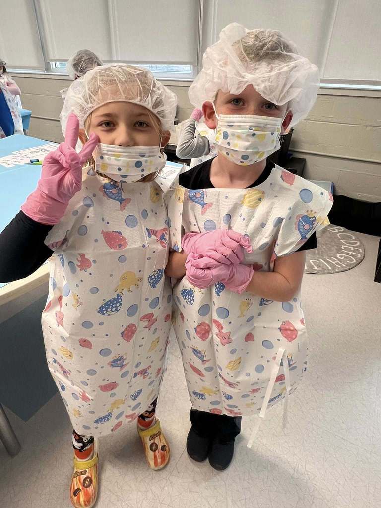two students pose together with their surgical gowns and caps during their lesson.