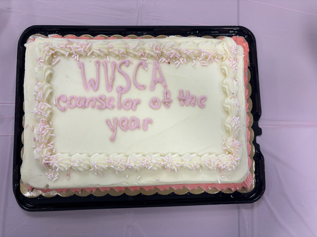 A cake with white icing, sprinkles, and a soft pink icing border. WVSCA Counselor of the Year is written on top of the cake in light purple icing.