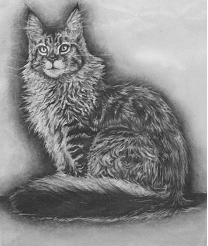 Karman Raja 1st Place District 1