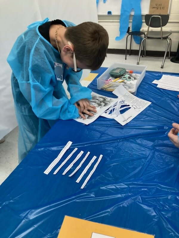 A student wearing a surgical gown is standing at a makeshift operating table with his hands on a piece of paper. Beside him, laid out on the table, are six strips of paper that have been cut out of a book for this lesson.